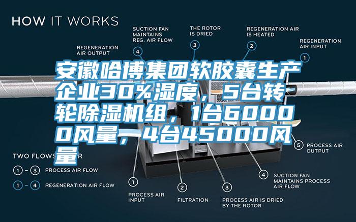 安徽哈博集團(tuán)軟膠囊生產(chǎn)企業(yè)30%濕度，5臺(tái)轉(zhuǎn)輪除濕機(jī)組，1臺(tái)60000風(fēng)量，4臺(tái)45000風(fēng)量