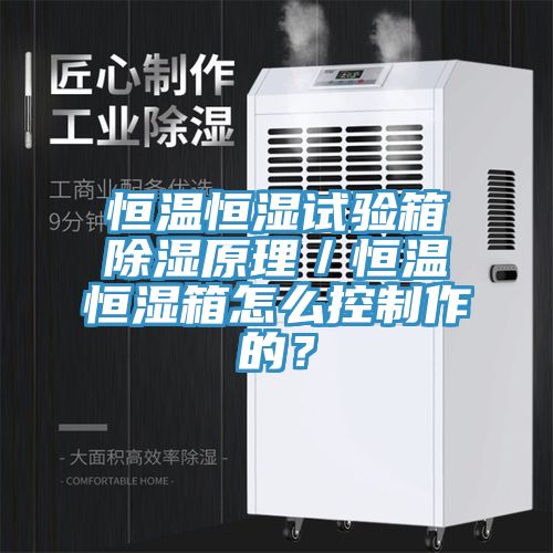 恒溫恒濕試驗箱除濕原理／恒溫恒濕箱怎么控制作的？