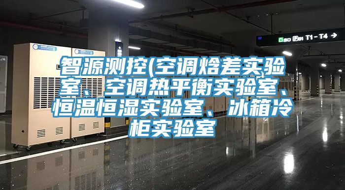 智源測控(空調焓差實驗室、空調熱平衡實驗室、恒溫恒濕實驗室、冰箱冷柜實驗室