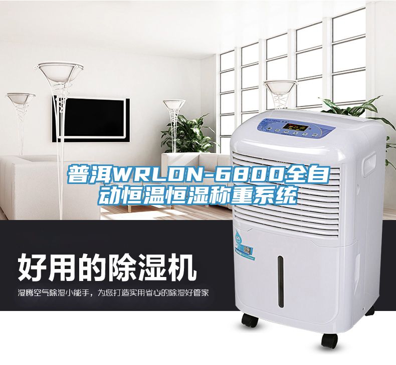 普洱WRLDN-6800全自動恒溫恒濕稱重系統