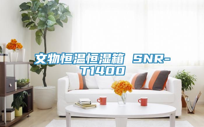 文物恒溫恒濕箱 SNR-T1400