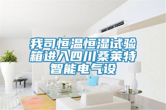 我司恒溫恒濕試驗箱進入四川桑萊特智能電氣設