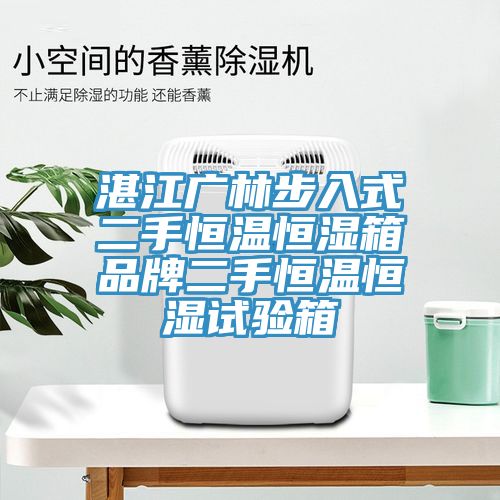 湛江廣林步入式二手恒溫恒濕箱品牌二手恒溫恒濕試驗箱