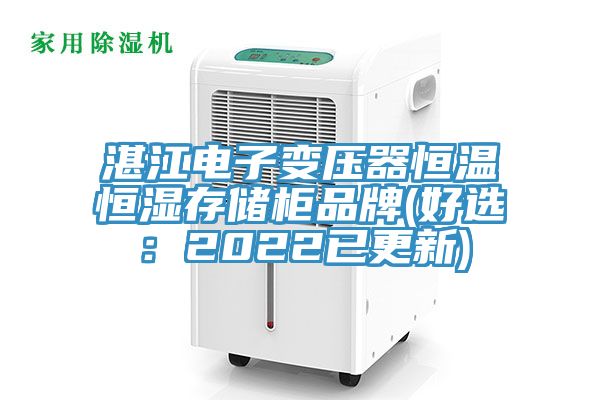 湛江電子變壓器恒溫恒濕存儲柜品牌(好選：2022已更新)