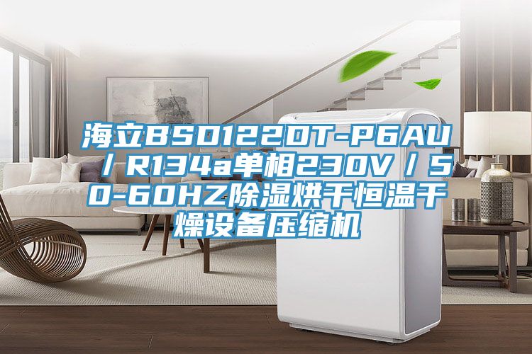 海立BSD122DT-P6AU／R134a單相230V／50-60HZ除濕烘干恒溫干燥設(shè)備壓縮機(jī)