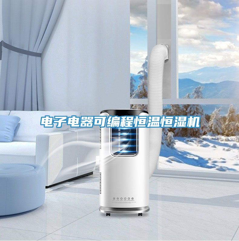 電子電器可編程恒溫恒濕機