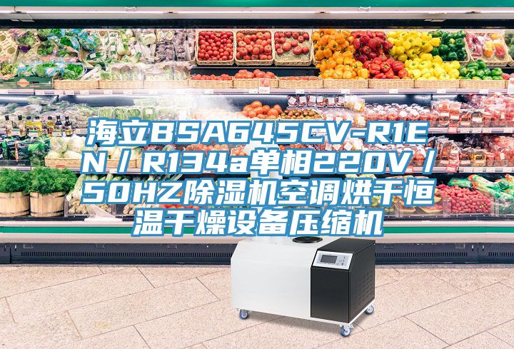 海立BSA645CV-R1EN／R134a單相220V／50HZ除濕機(jī)空調(diào)烘干恒溫干燥設(shè)備壓縮機(jī)