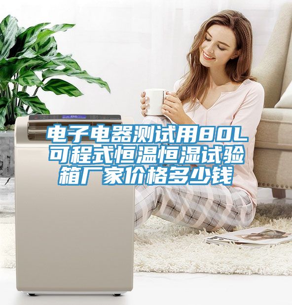 電子電器測試用80L可程式恒溫恒濕試驗箱廠家價格多少錢