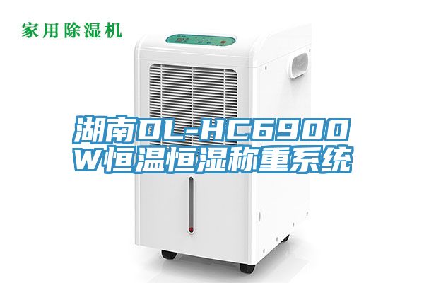 湖南DL-HC6900W恒溫恒濕稱重系統(tǒng)