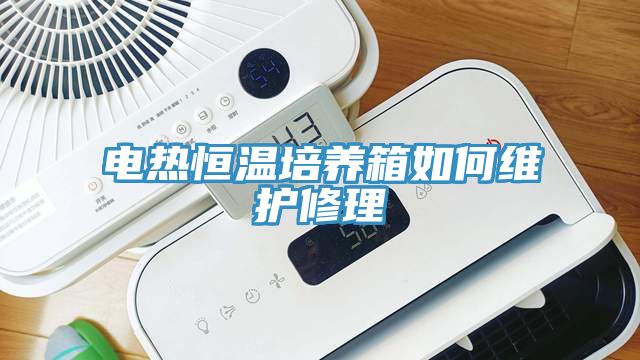 電熱恒溫培養箱如何維護修理