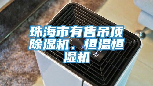 珠海市有售吊頂除濕機、恒溫恒濕機