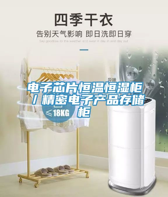 電子芯片恒溫恒濕柜／精密電子產(chǎn)品存儲柜