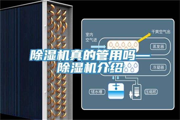 除濕機真的管用嗎—除濕機介紹