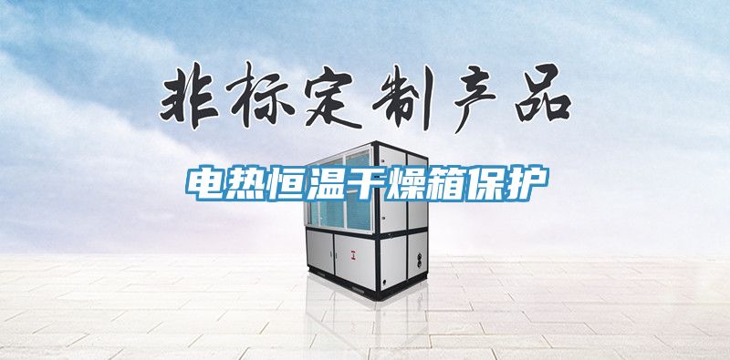 電熱恒溫干燥箱保護