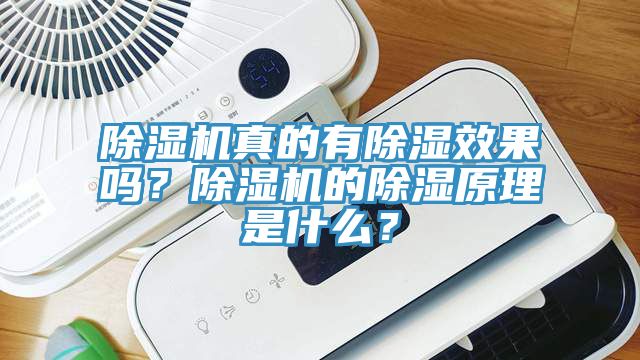 除濕機真的有除濕效果嗎？除濕機的除濕原理是什么？