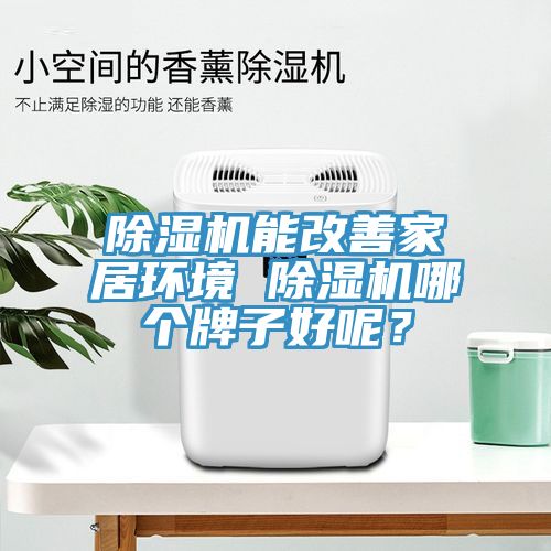 除濕機能改善家居環境 除濕機哪個牌子好呢？