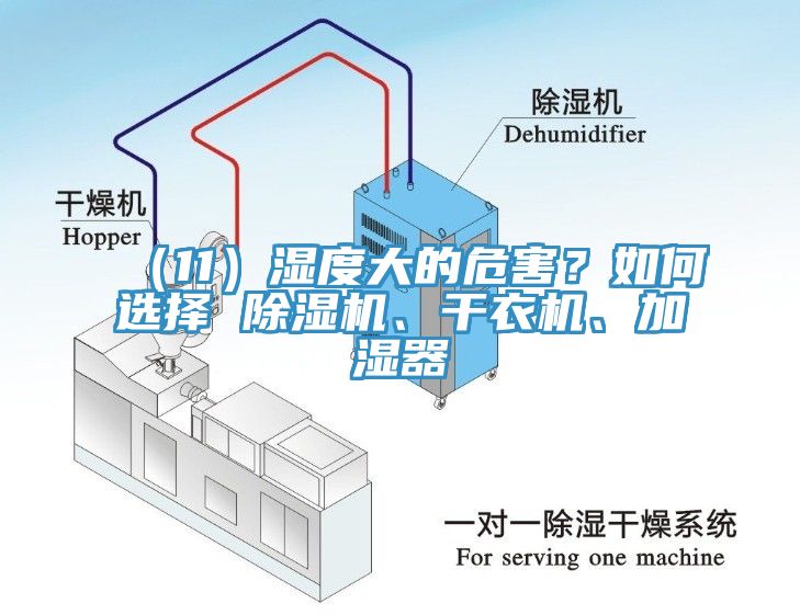 （11）濕度大的危害？如何選擇 除濕機、干衣機、加濕器