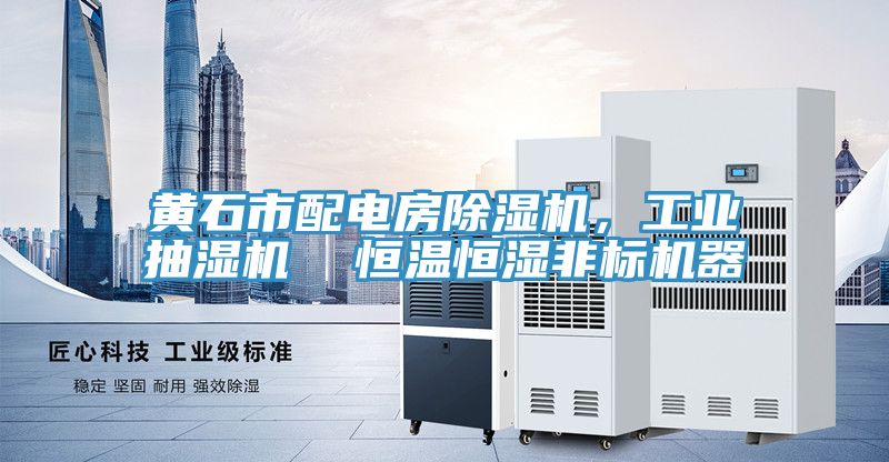 黃石市配電房除濕機，工業(yè)抽濕機  恒溫恒濕非標(biāo)機器