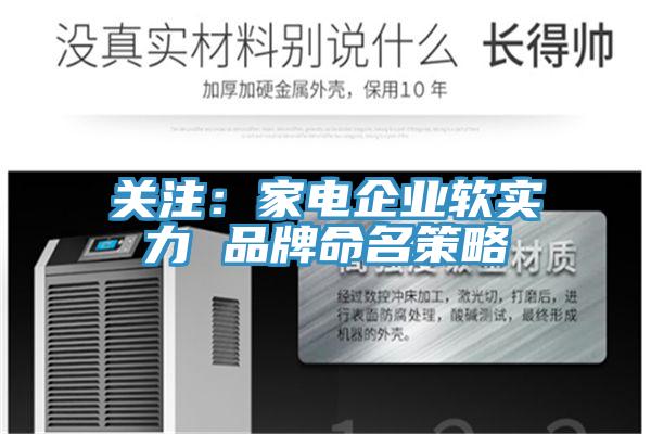 關注：家電企業軟實力 品牌命名策略