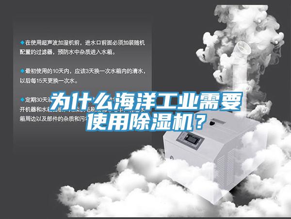 為什么海洋工業(yè)需要使用除濕機(jī)？