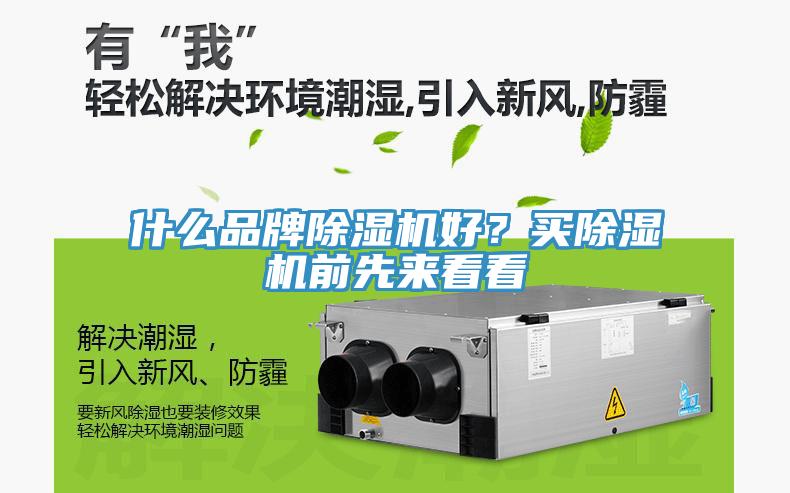 什么品牌除濕機好？買除濕機前先來看看