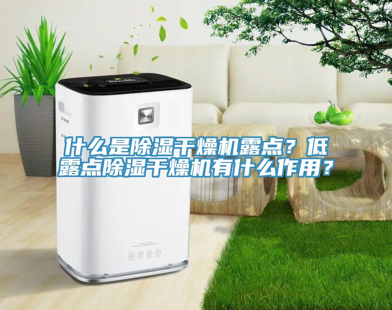 什么是除濕干燥機露點？低露點除濕干燥機有什么作用？