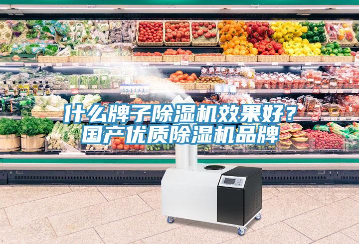 什么牌子除濕機效果好？國產優質除濕機品牌